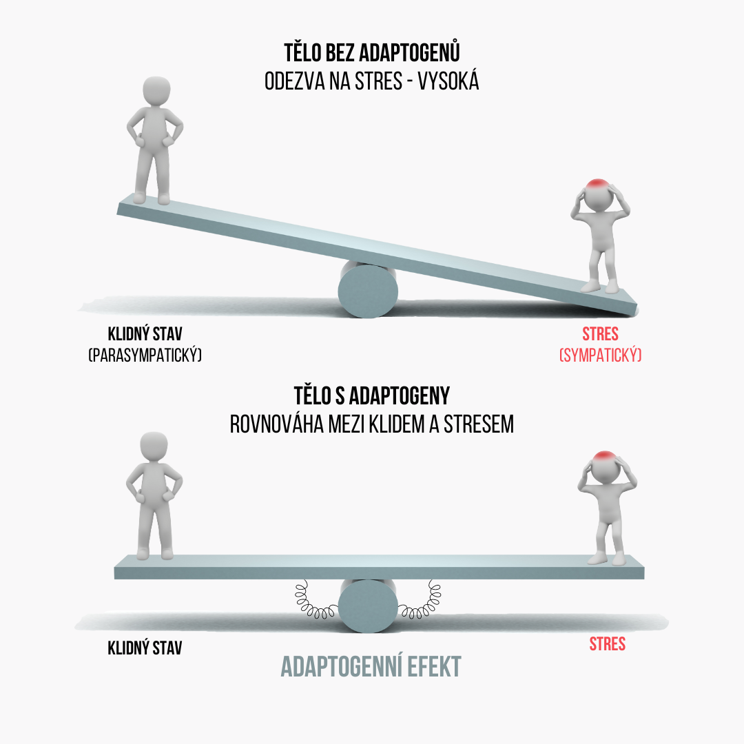 Adaptogenni efect